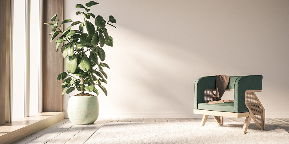 Softseating_banner